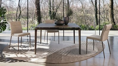 Carmen_Large_cs4152-Q_P29L_P14C_cs2209_P29L_T3N_cs7281_O