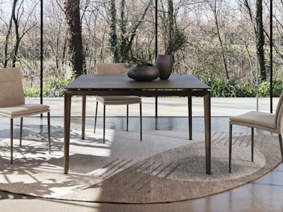 Carmen_Large_cs4152-Q_P29L_P14C_cs2209_P29L_T3N_cs7281_O