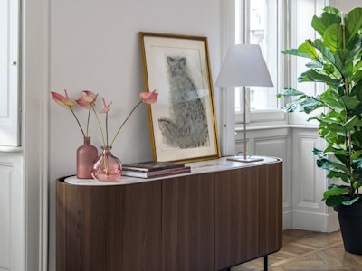 Lake cs6076-1 P15 P12