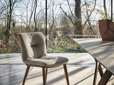 Annie cs1846-MTO P12 S0C cs4111-R MTO P29L P36C cs7266 AI