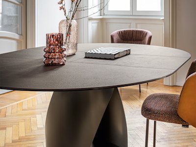 Cyclone_cs4155-D_P29L_P14C_part