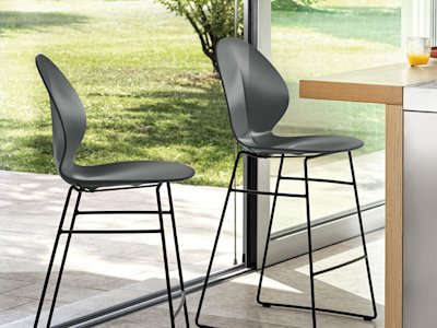 Basil_cs1354_P15_P16