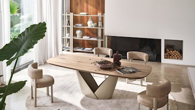 WU cs4159-FSW P46M P2HW cs2242 P46M T3N cs6219-2 cs7279 UP