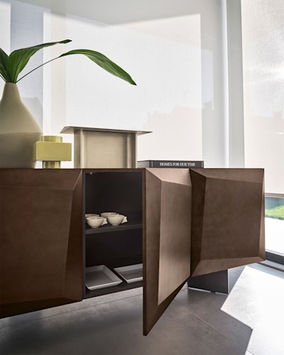 Alterego cs6215-2 P29B P29L part op