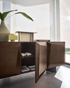 Alterego cs6215-2 P29B P29L part op