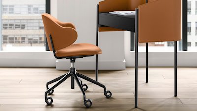 Holly_cs2057_P15_SLS_cs4116_P15_P15L-R04