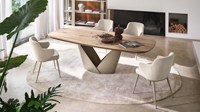 Calla cs4159-FSW P46M P2HW cs1898 P46M T3Q cs6219-2 cs7279 up