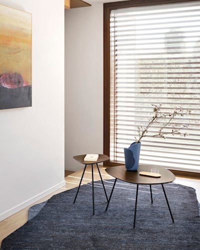 Roche cs5085-D-C P15 P12 cs7258