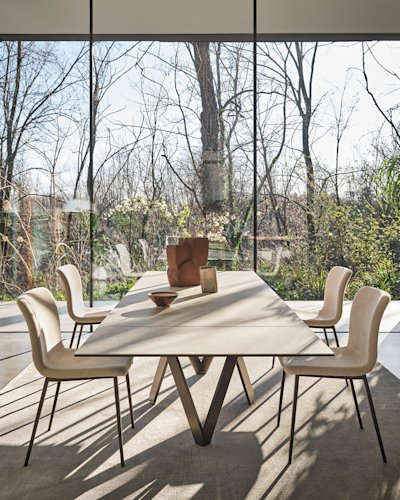 Cartesio_cs4111-R_MTO_P29L_P36C_cs1852_P29L_T3Q_cs7266_op