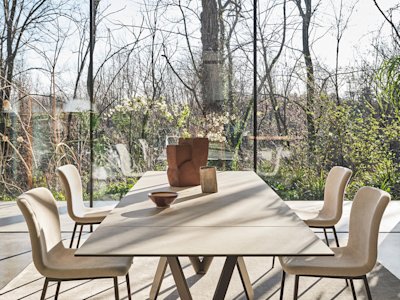 Cartesio_cs4111-R_MTO_P29L_P36C_cs1852_P29L_T3Q_cs7266_op