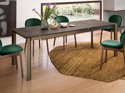 Ines cs4139-R P29L P14C cs2079 P12 S0H cs7258 02