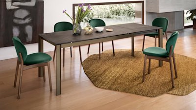 Ines cs4139-R P29L P14C cs2079 P12 S0H cs7258 02