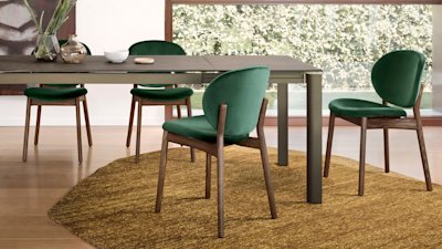 Ines_cs4139-R_P29L_P14C_cs2079_P12_S0H_cs7258_01