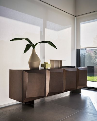 Alterego cs6215-2 P29B P29L