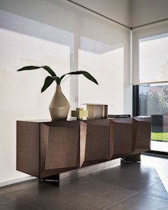 Alterego cs6215-2 P29B P29L