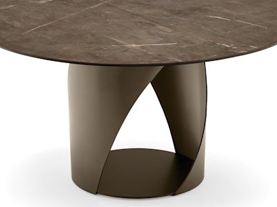 Cyclone_cs4155-D_P29L_P14C_cl