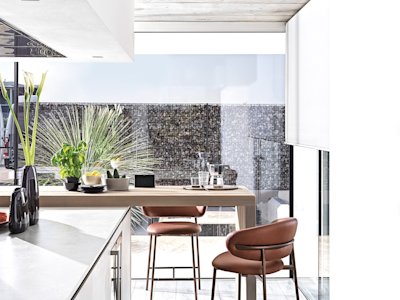 Oleandro_cs2032_P29L_SLT