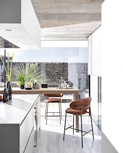 Oleandro_cs2032_P29L_SLT