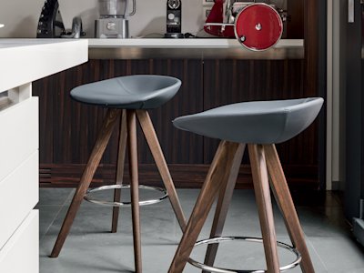 Palm_cs1811_P12_S96 2