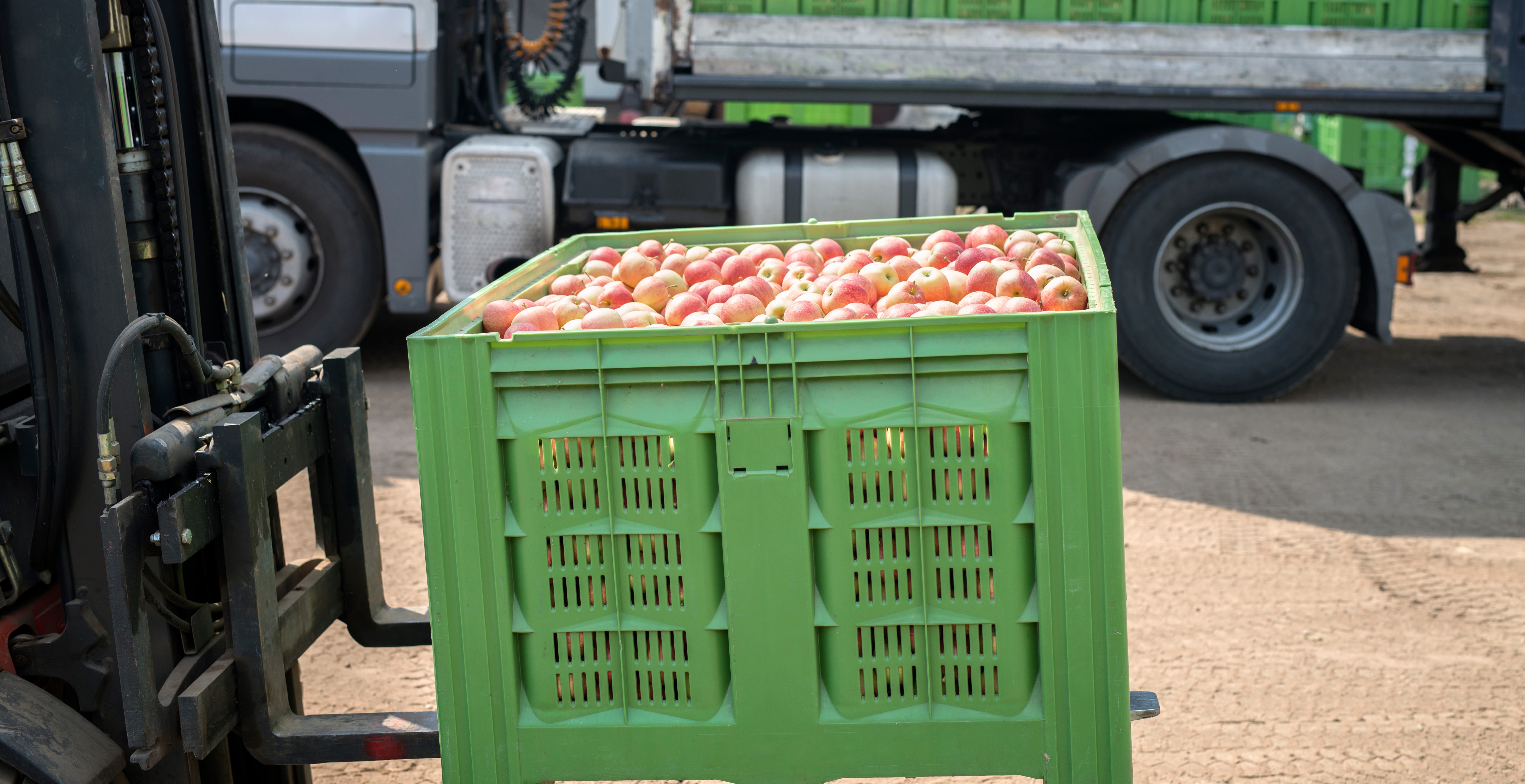 Finding Profitable Growth With Enterprise Marketplaces in Wholesale Food & Beverage