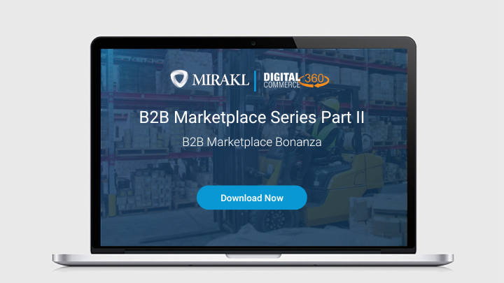 B2B Marketplaces Series Part II: B2B Marketplace Bonanza 