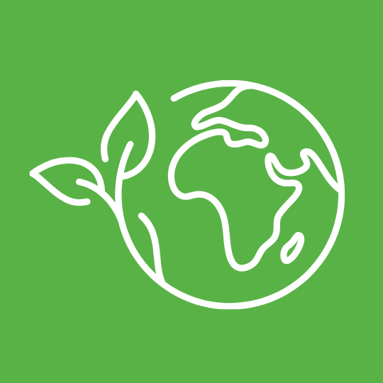Eco Royale