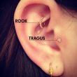 Rook and Tragus
