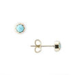 Grace Lee Petite Turquoise Crown Bezel Earrings