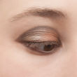 brown-eyeshadow-shades-swatches-loreal-paris-colour-riche-absolute-taupe