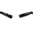 brow-shapes-7
