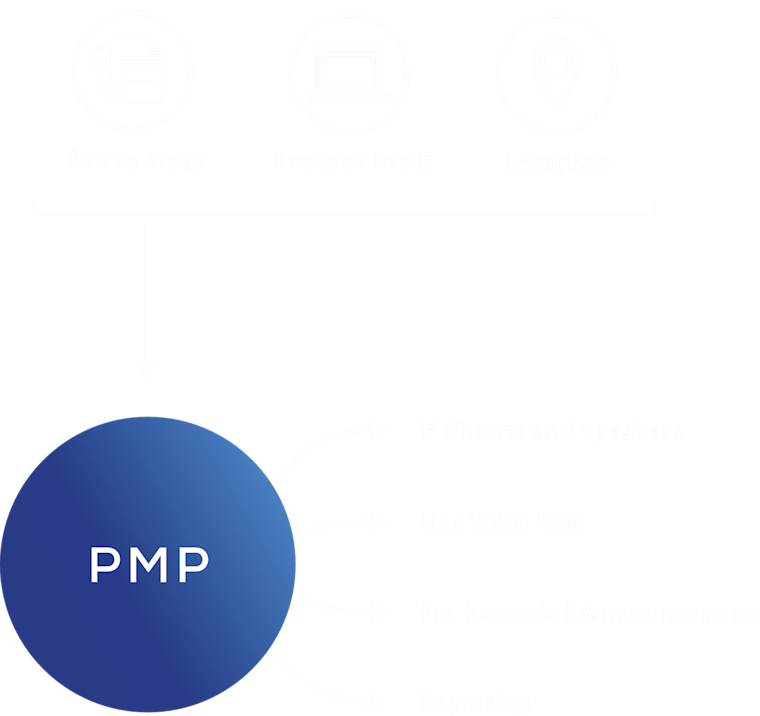 PMP Diag LS