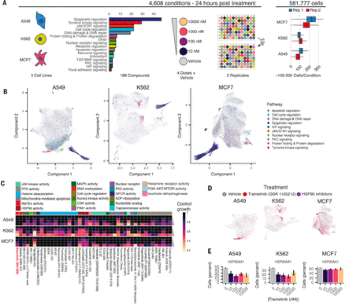 From “ Massively multiplex chemical transcriptomics at single-cell resolution” shows how Sci-Plex enables global transcriptional profiling of thousands of chemical perturbations in a single experiment.