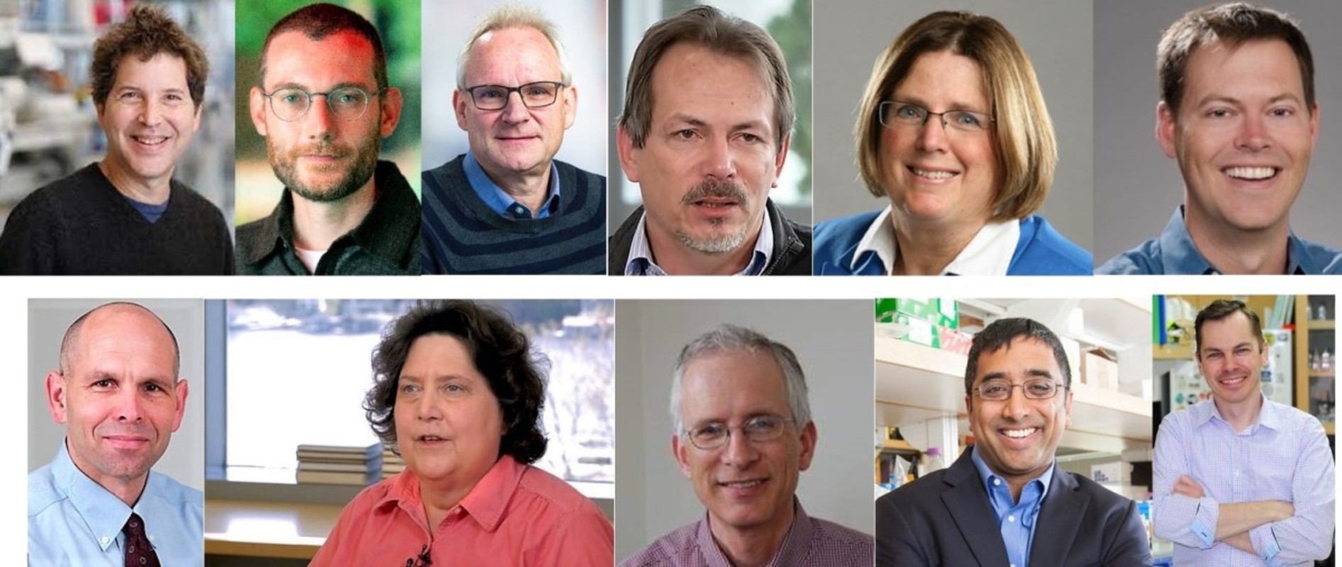 BBI's 2022 highly cited researchers