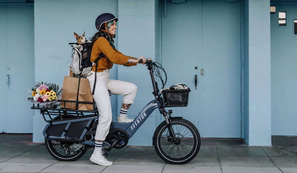 your-guide-to-the-best-electric-cargo-bikes-for-hauling-goods