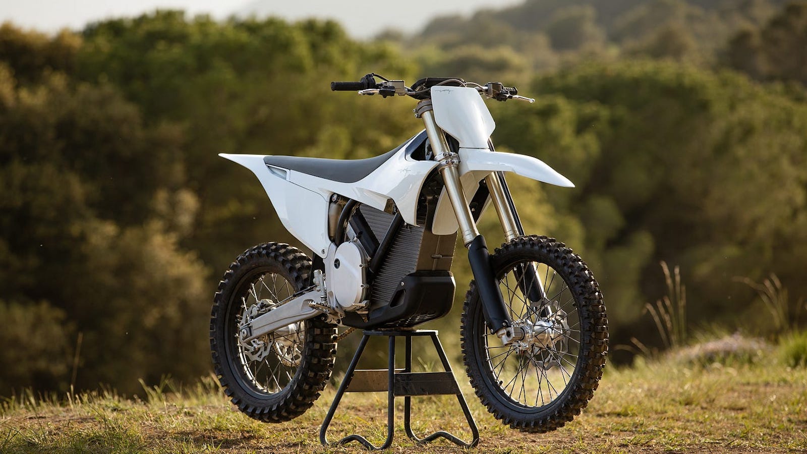 Ride Review Newsletter: 🐺 Stark’s Varg Emoto Arrives at Last