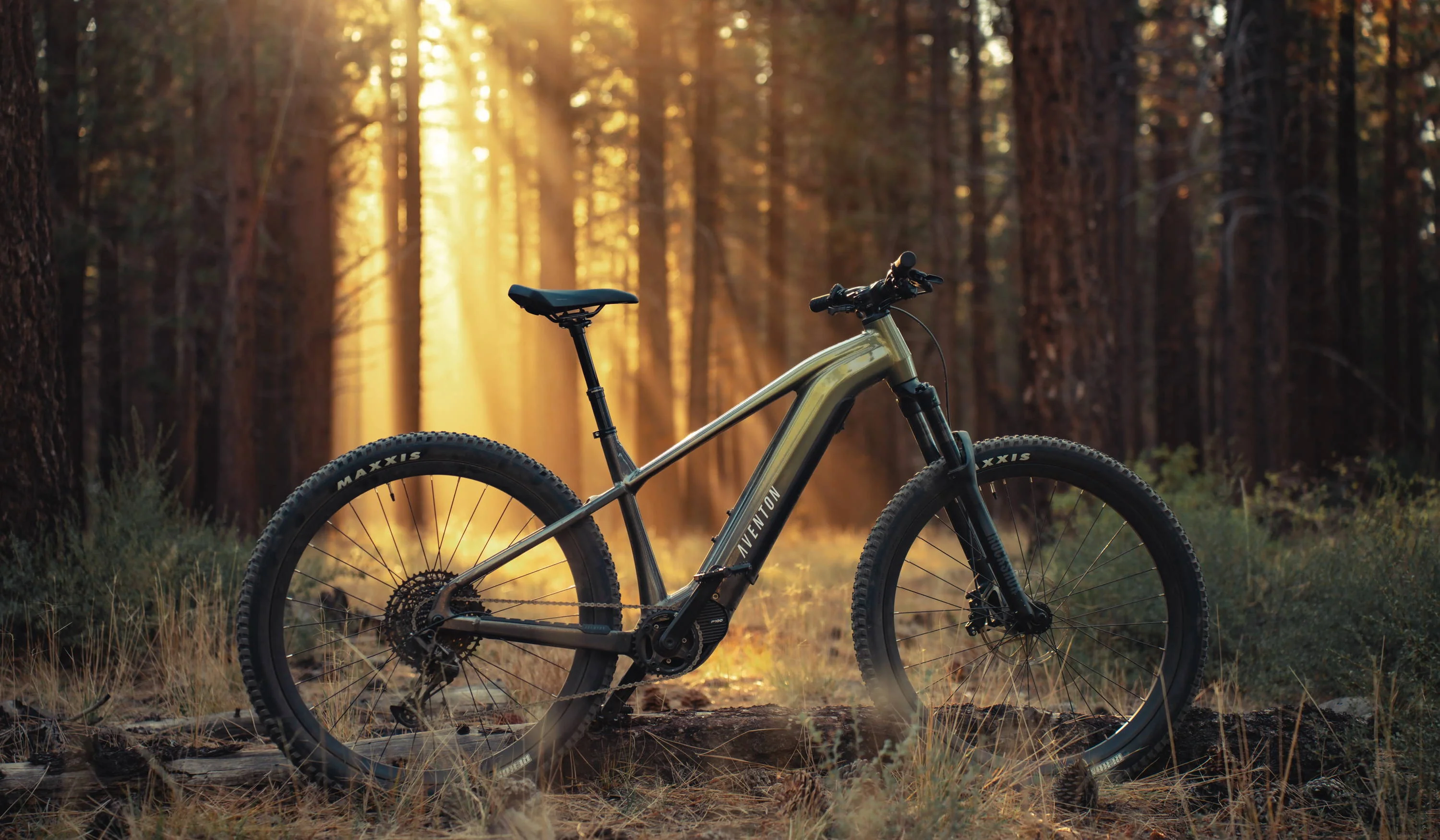 Here’s the best e-MTB's we found in 2026