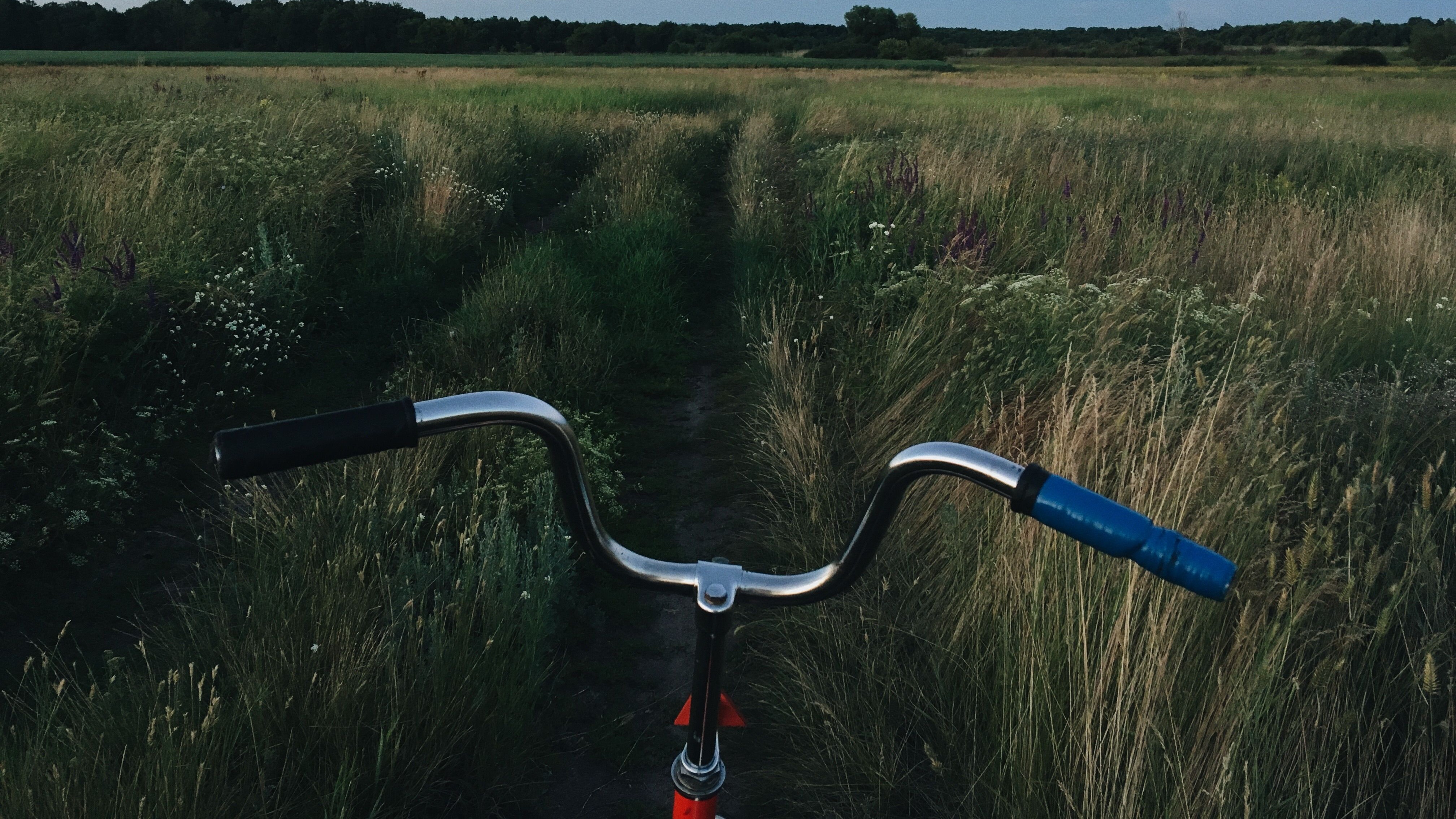 Safety, content & everything in between: The best cameras for your next bike ride