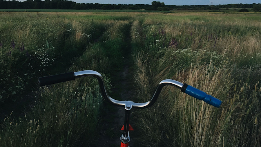 Safety, content & everything in between: The best cameras for your next bike ride