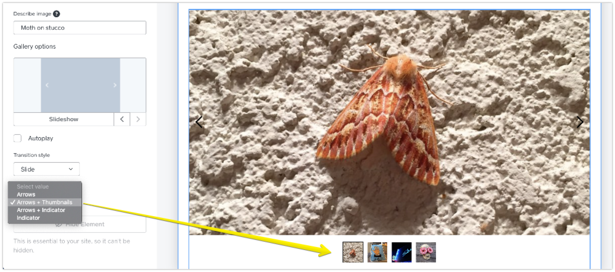 galleries-slide-options