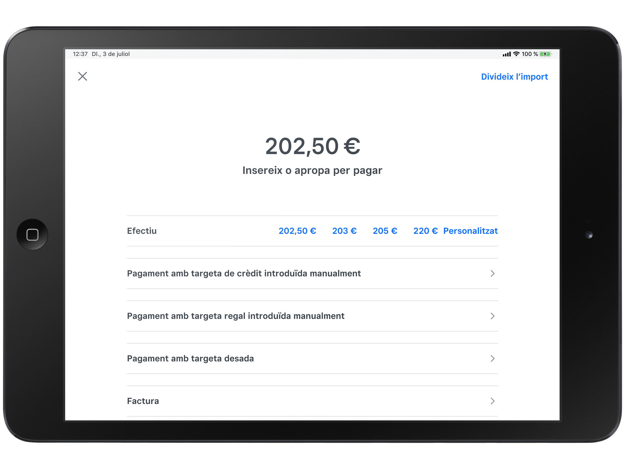 Payment Type Preview in iOS