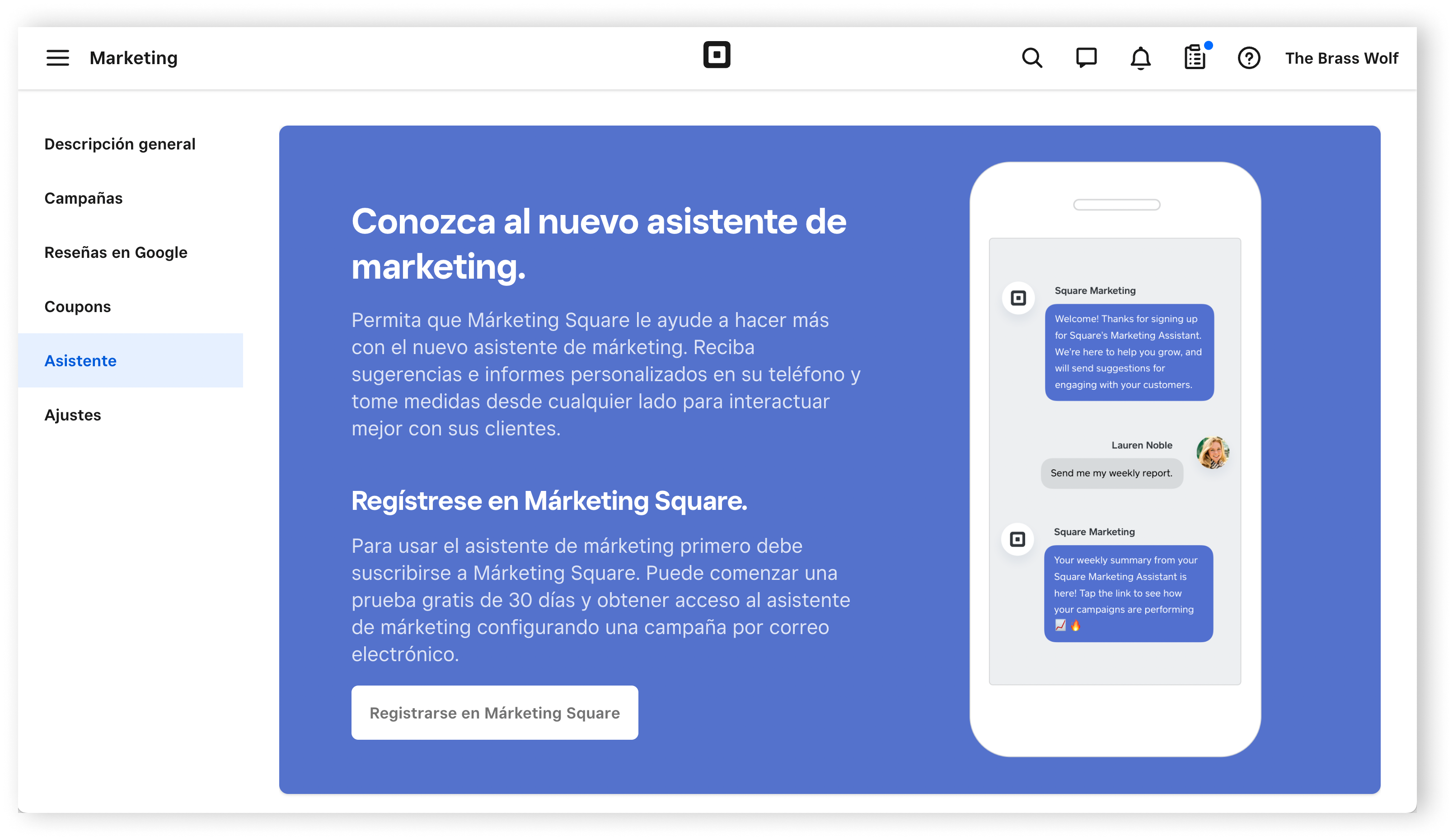 Marketing - Assistant