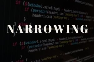 TypeScript / Coding / Software Web Development / Digital Nomad / Programing