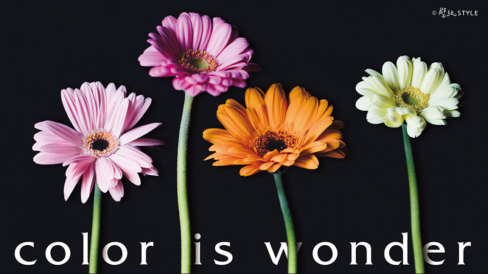 color is wonder