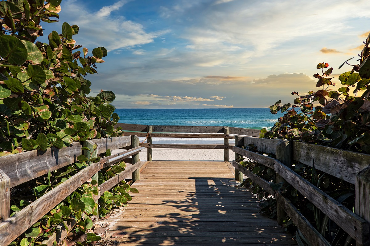 boardwalk lined with vegetation leading to a sandy ocean view