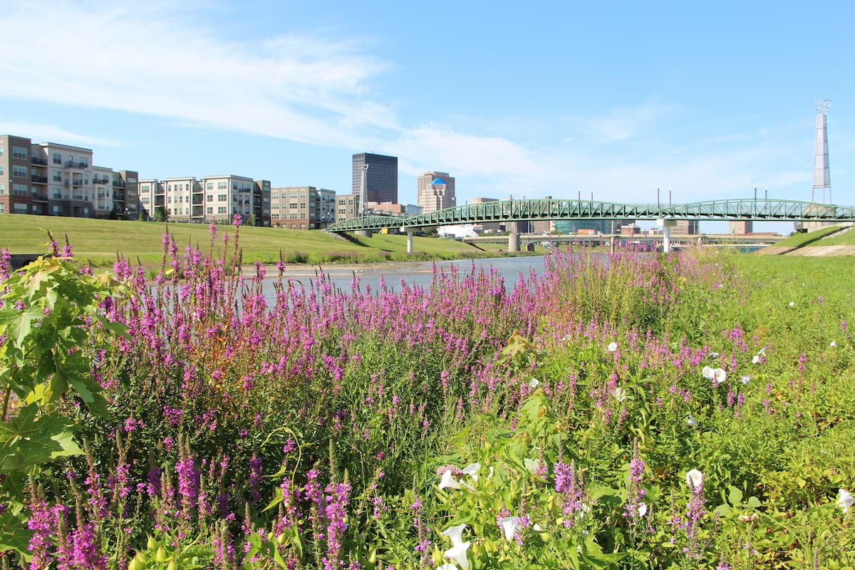 looking through colorful riverscape toward downtown skyscrapers