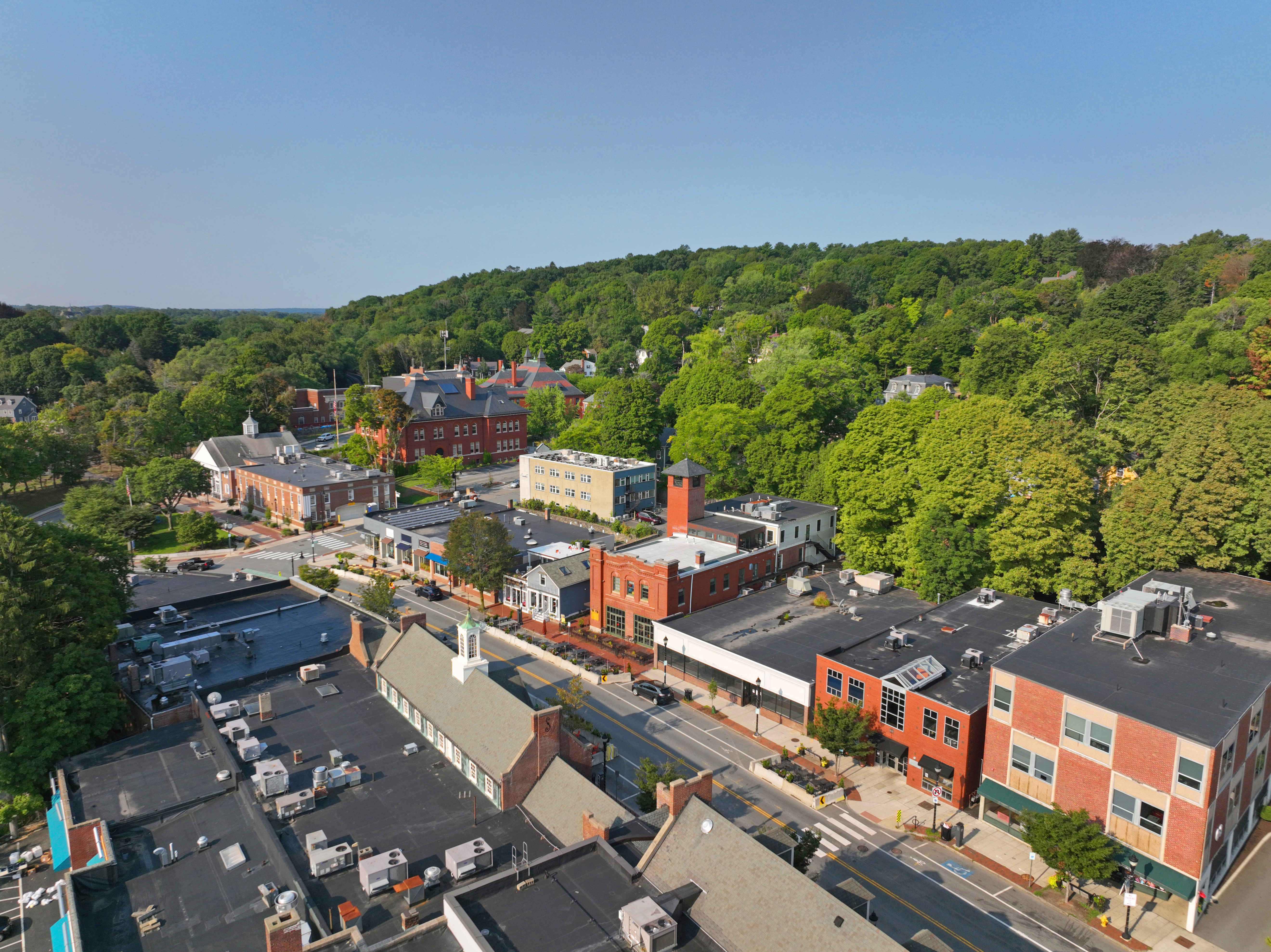 aerial view of trees and historic buildings