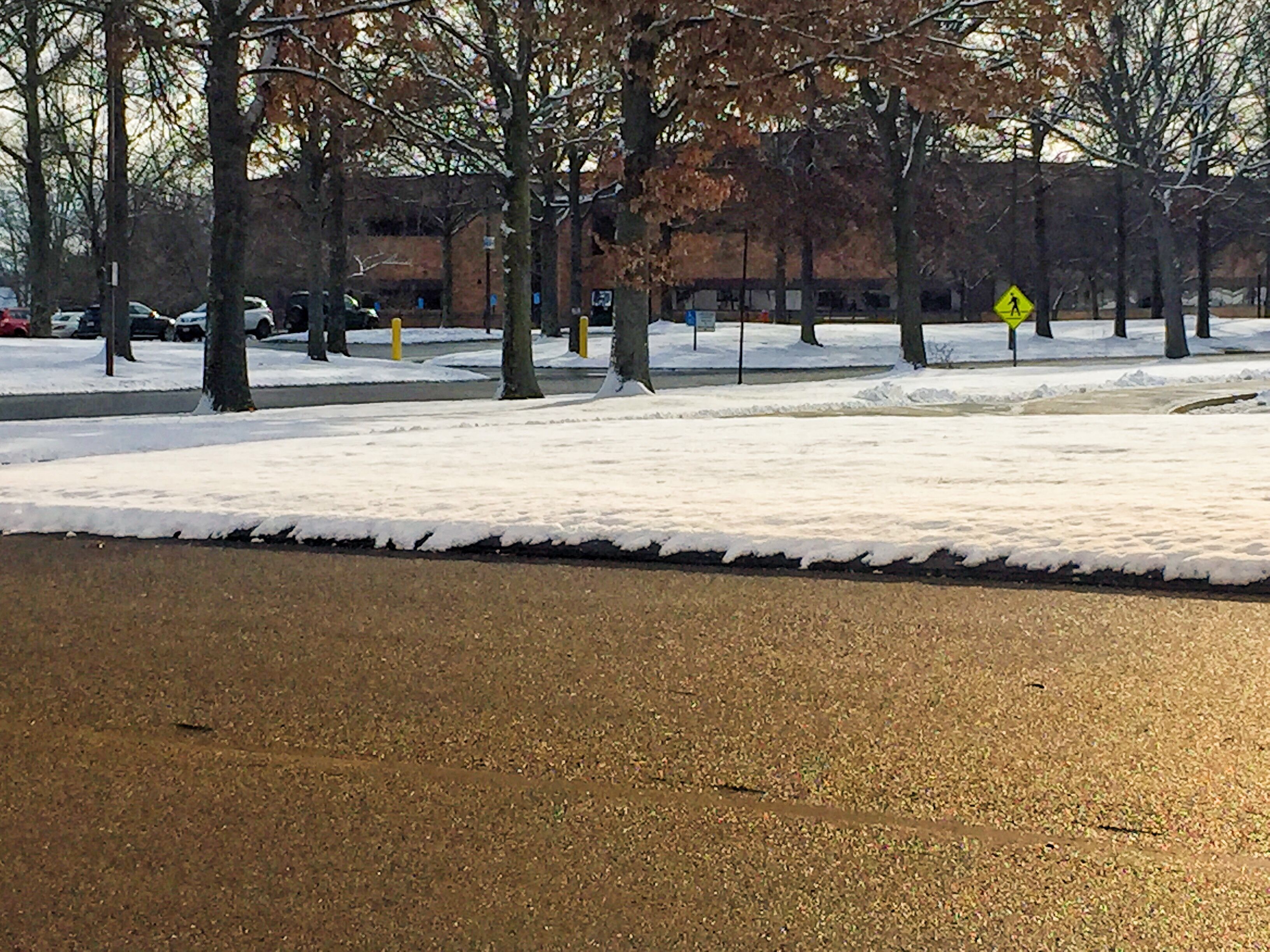 snowy scene of trees and parking lot outside an office building