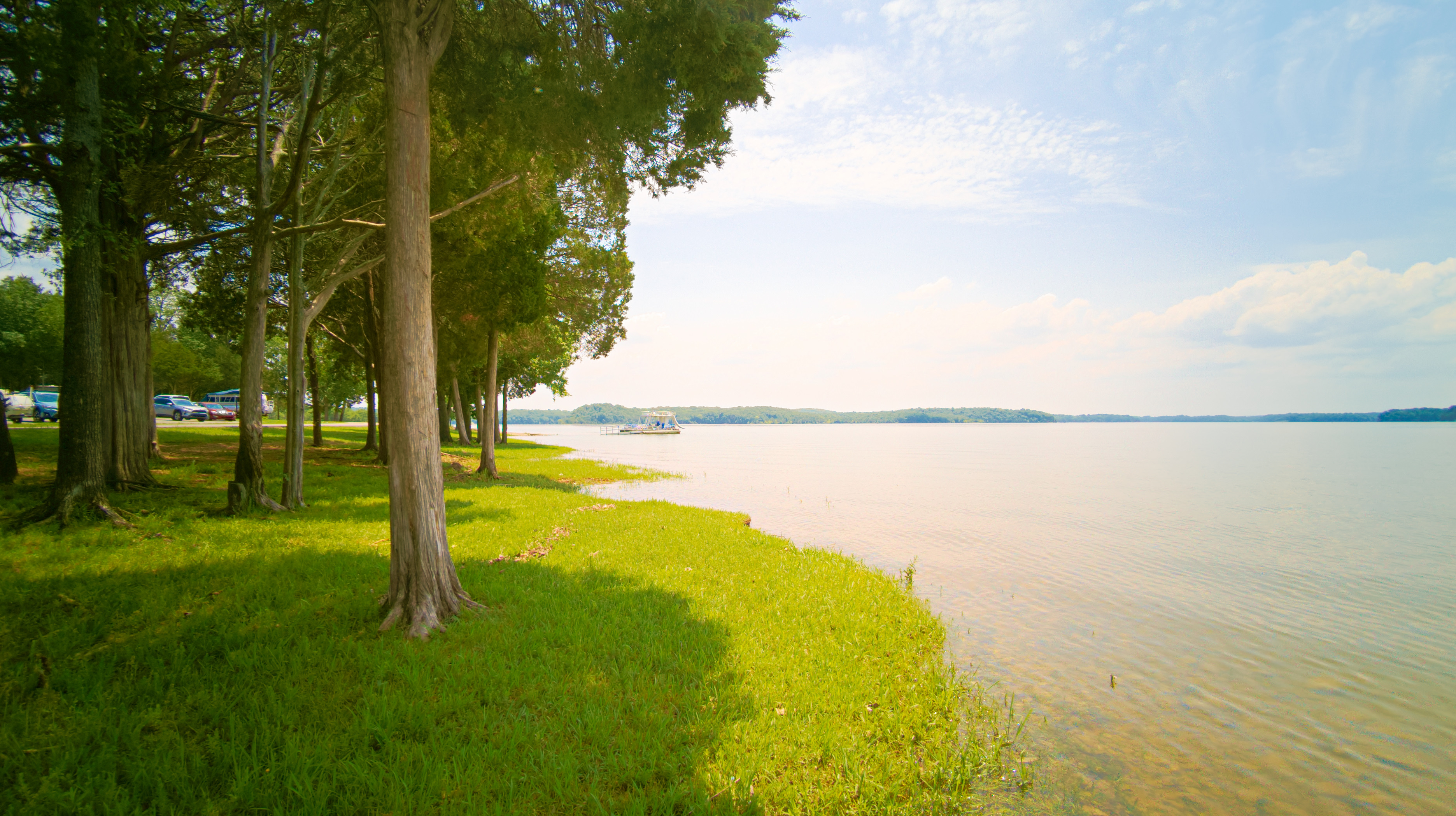 Trees along shoreline at lake on a sunny day