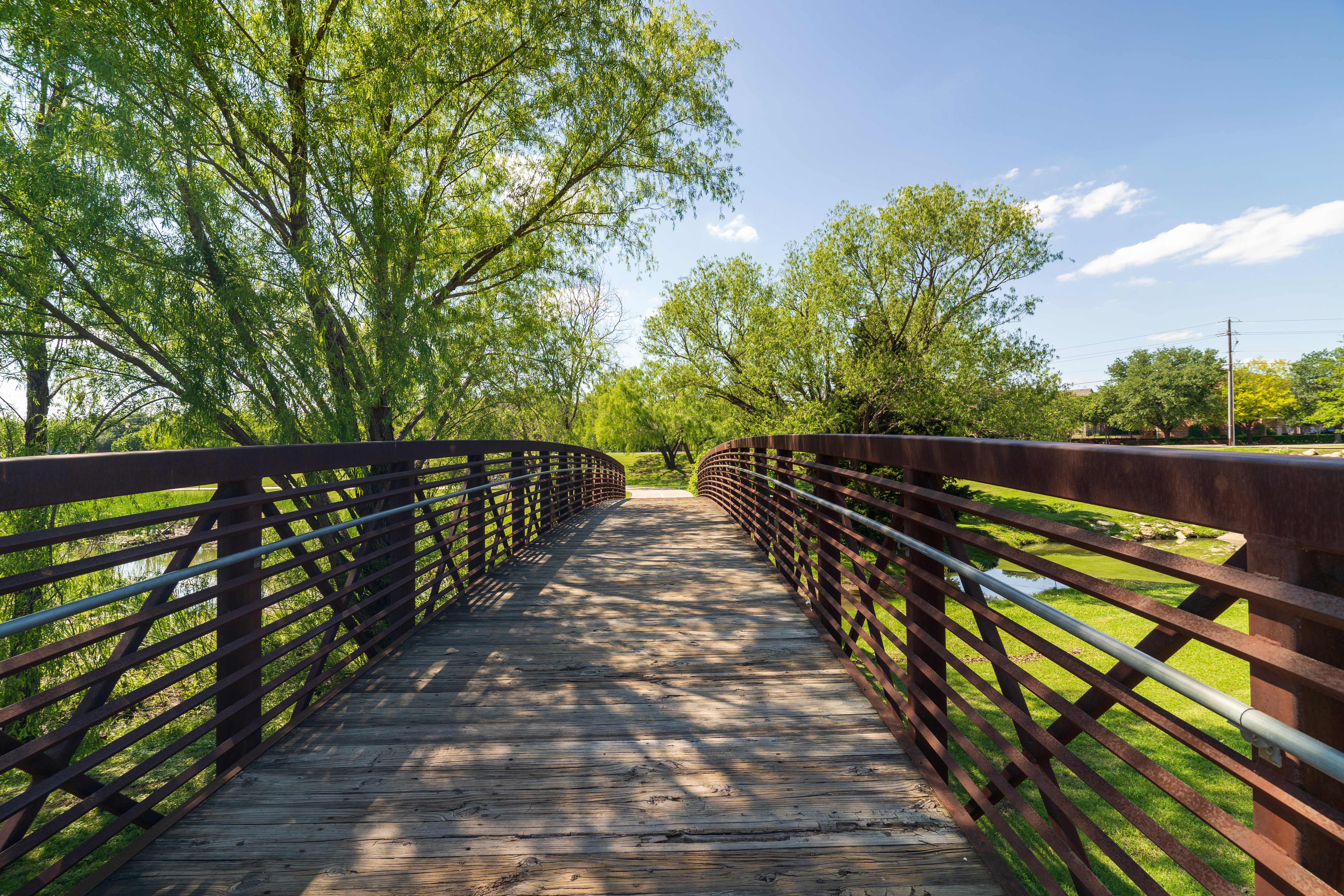 wooden bridge in park on a sunny day