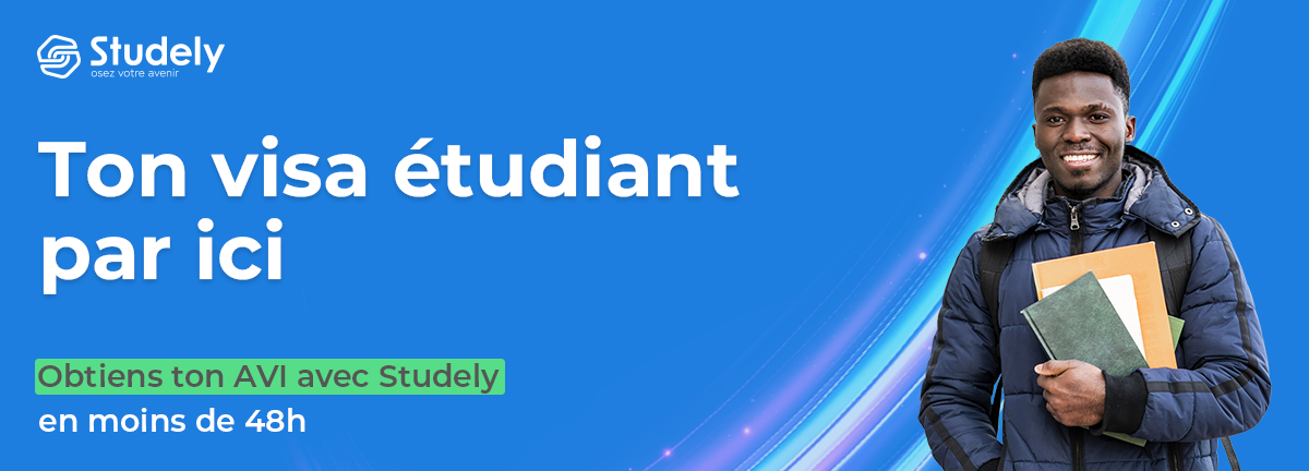 AVI études en France